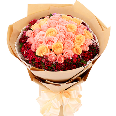 测试的案例信息，测试的案例信息