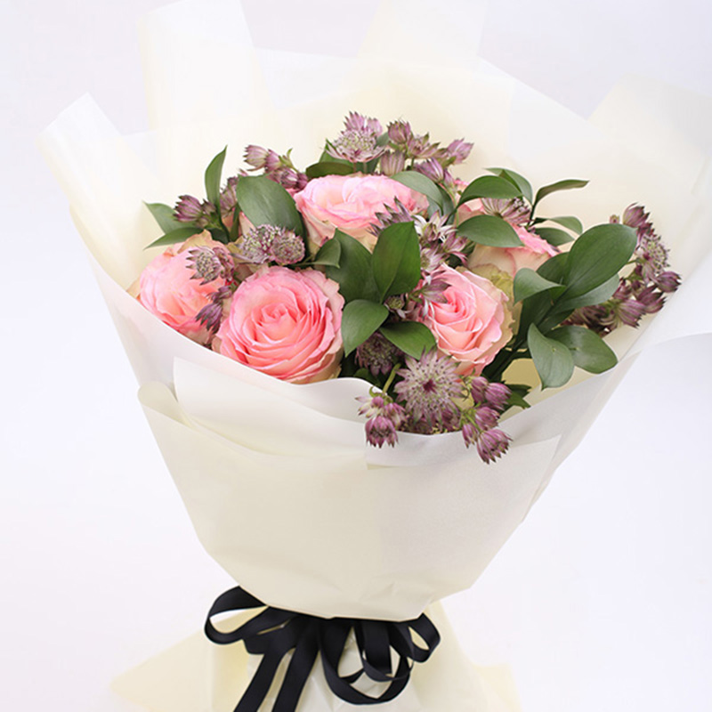 测试的案例信息，测试的案例信息