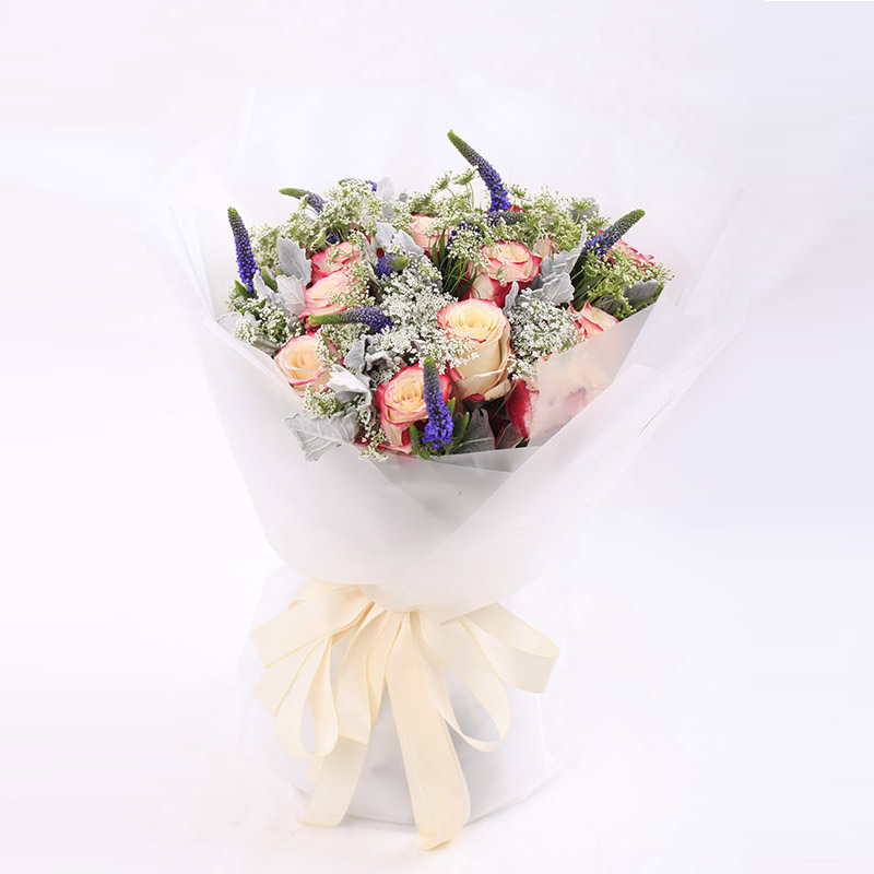 11测试的案例信息，测试的案例信息